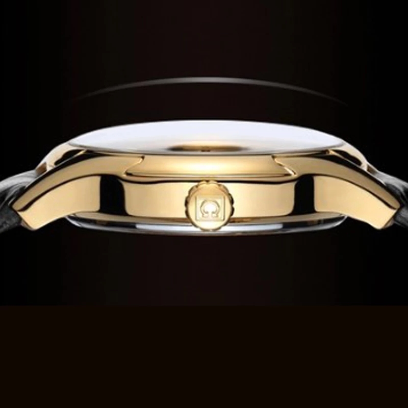 Carnaval marca de luxo relógio - Luxury Watch Winder avaliação e preço